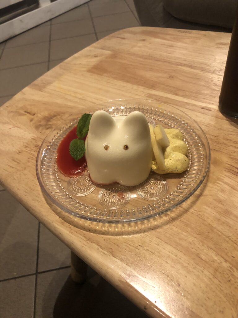 cat pudding in Poznan