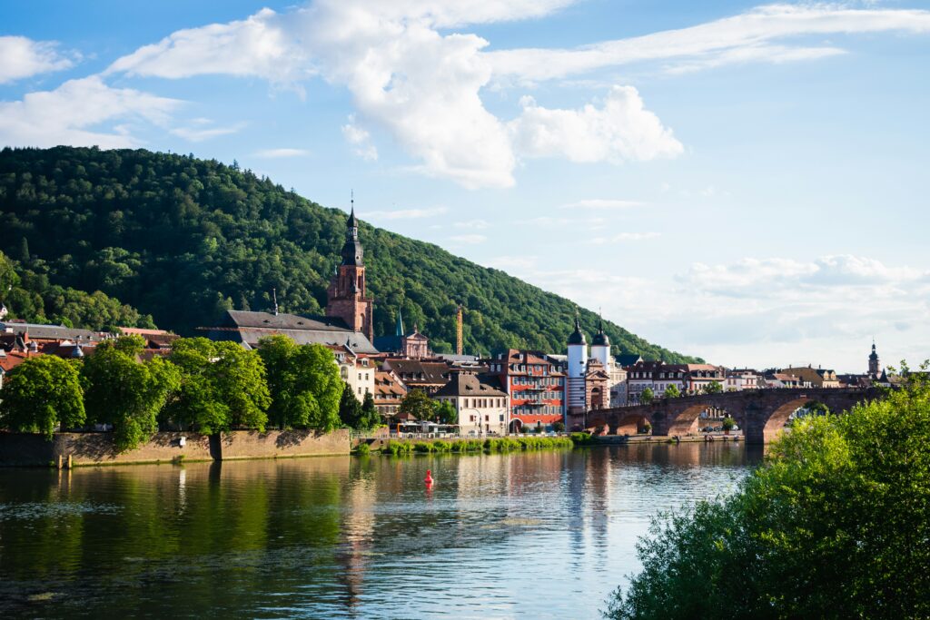 How To Use Dass In German